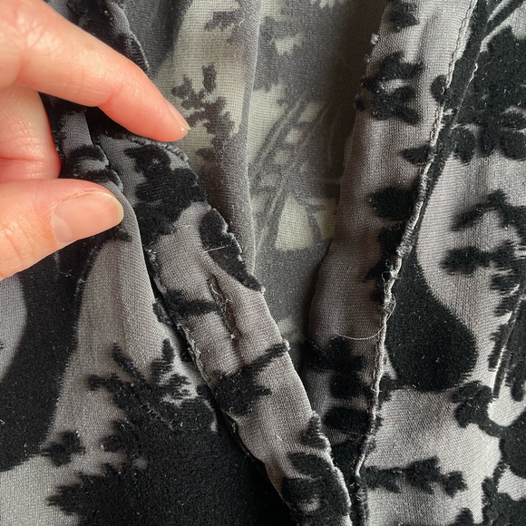 Page Sheer/ Velvet Button Down - Picture 3 of 5